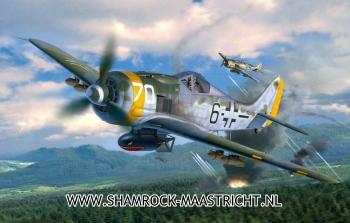 Revell Focke Wulf FW190 F-8