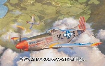 Meng North American P-51D Mustang Fighter 1/48